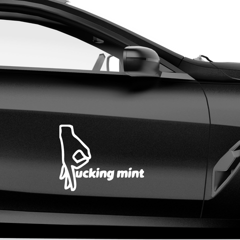 Fcking mint Aufkleber - Beispielansicht