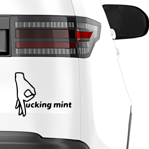 Fcking mint Aufkleber - Beispielansicht