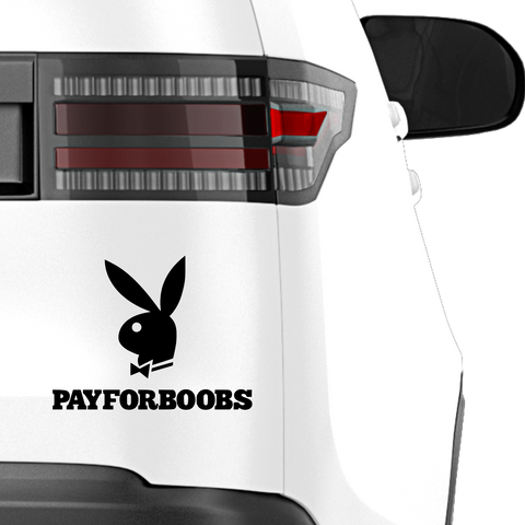 Pay for Boobs Fakelogo Aufkleber - Beispielansicht