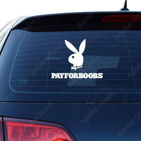 Pay for Boobs Fakelogo Aufkleber - Beispielansicht