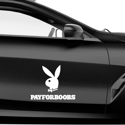 Pay for Boobs Fakelogo Aufkleber - Beispielansicht