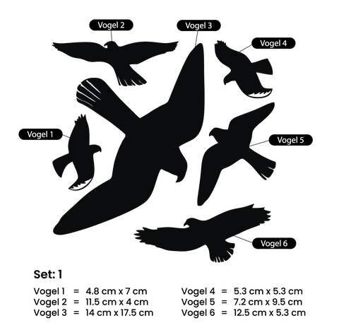 Vogelschutz Raubvögel Silhouetten Fensteraufkleber