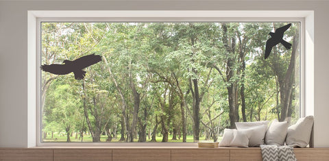 Vogelschutz Raubvögel Silhouetten Fensteraufkleber