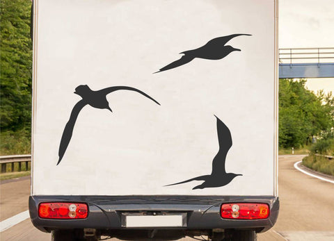 Möwen set. Autoaufkleber