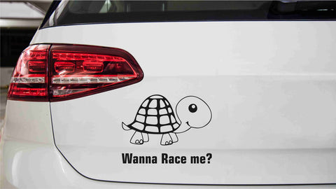 Schildkröte mit Spruch wilst du ein rennen? Autoaufkleber