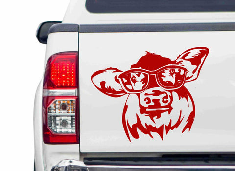 Kuhkopf mit Brille Autoaufkleber