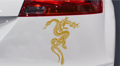 Drache und Schlange Autoaufkleber