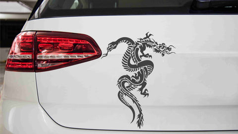 Drache und Schlange Autoaufkleber