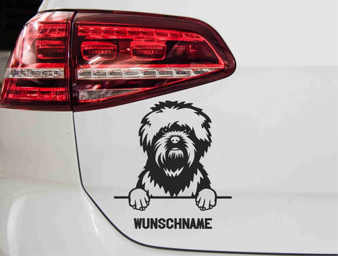 aufkleber-affenpinscher-hund-schwarz