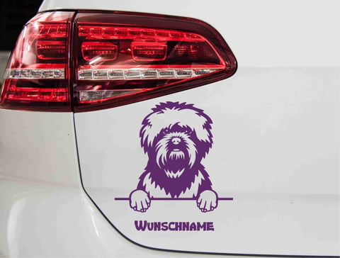 aufkleber-affenpinscher-hund-violett