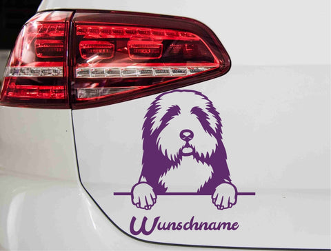 aufkleber-bearded-collie-violett