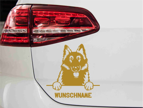 aufkleber-belgischer-schaeferhund-autoaufkleber-gold