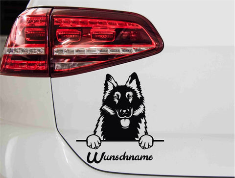 aufkleber-belgischer-schaeferhund-autoaufkleber-schwarz