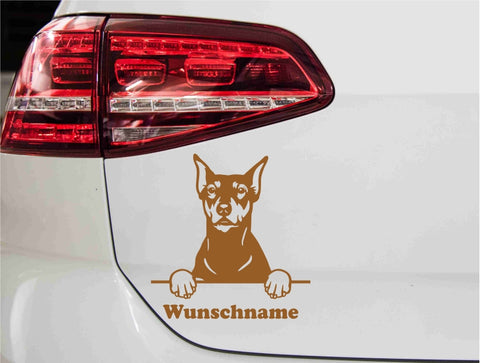 aufkleber-deutscher-pinscher-bronce