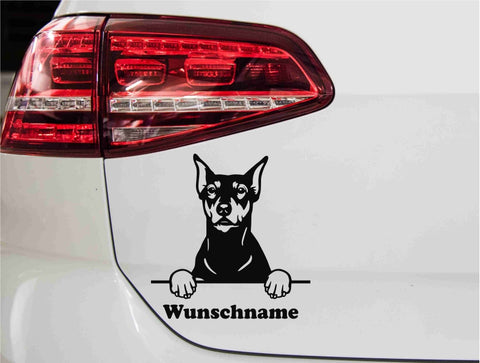aufkleber-deutscher-pinscher-schwarz