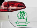 aufkleber-englischer-springer-spaniel-gruen