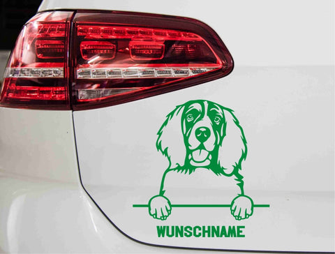 aufkleber-englischer-springer-spaniel-gruen
