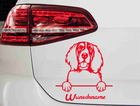aufkleber-englischer-springer-spaniel-rot