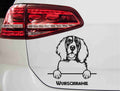 aufkleber-englischer-springer-spaniel-schwarz