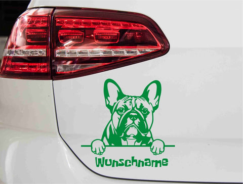 aufkleber-franzoesische-dogge-portrait-gruen