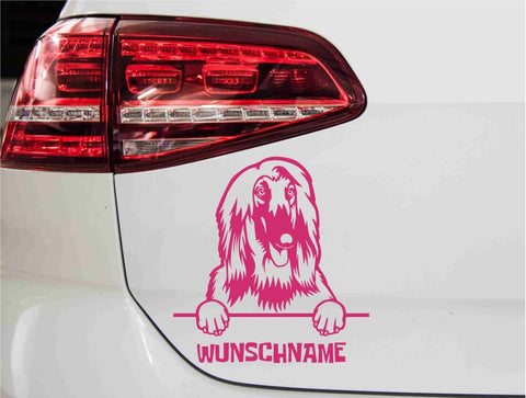 aufkleber-portrait-afganischer-windhund-pink