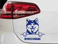 aufkleber-portrait-akita-hund-blau