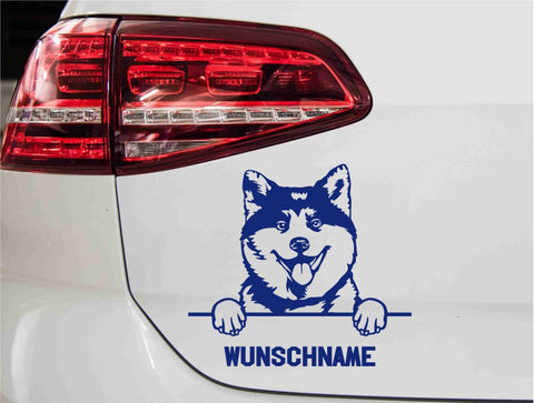 aufkleber-portrait-akita-hund-blau