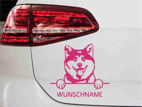 aufkleber-portrait-akita-hund-pink