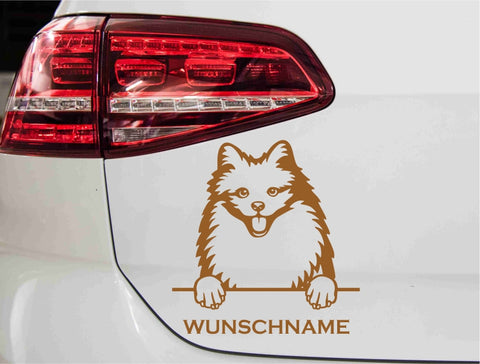 aufkleber-portrait-american-eskimo-hund-kupfer