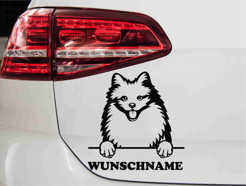 aufkleber-portrait-american-eskimo-hund-schwarz