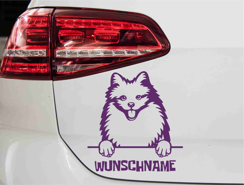 aufkleber-portrait-american-eskimo-hund-violett