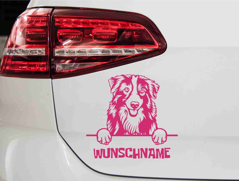 aufkleber-portrait-australian-shepherd-pink