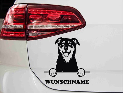 aufkleber-portrait-beauceron-hund-schwarz