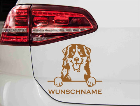 aufkleber-portrait-bernese-mountain-hund-kupfer