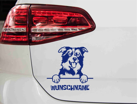 aufkleber-portrait-border-collie-blau