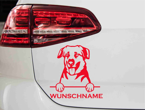 aufkleber-portrait-chinook-hund-rot