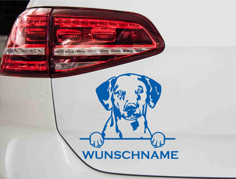 aufkleber-portrait-dalmatian-hunderasse-blau