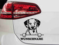 aufkleber-portrait-dalmatian-hunderasse-schwarz