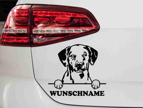 aufkleber-portrait-dalmatian-hunderasse-schwarz