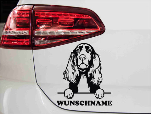 aufkleber-portrait-field-spaniel-schwarz