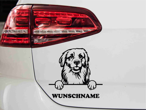 aufkleber-portrait-golden-retriever-schwarz