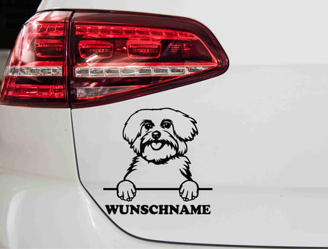aufkleber-portrait-maltese-hunderasse-schwarz