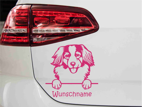 aufkleber-portrait-nederlandse-kooikerhondjes-hunderasse-pink