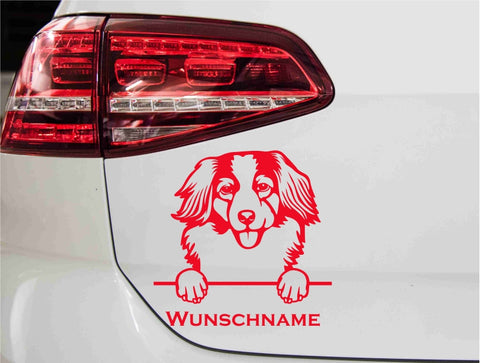aufkleber-portrait-nederlandse-kooikerhondjes-hunderasse-rot