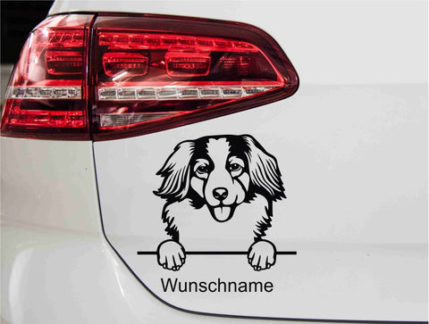 aufkleber-portrait-nederlandse-kooikerhondjes-hunderasse-schwarz