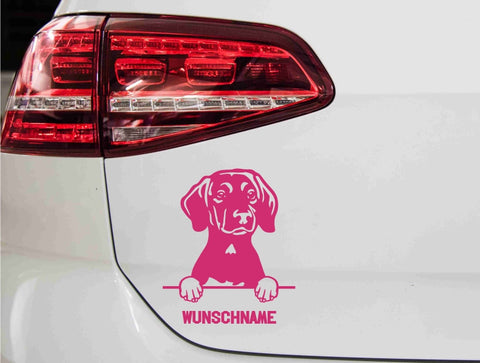 aufkleber-portrait-plott-hund-hunderasse-pink