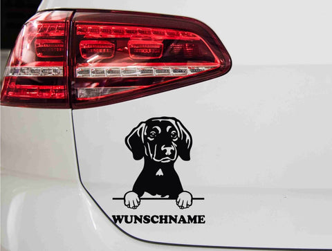aufkleber-portrait-plott-hund-hunderasse-schwarz