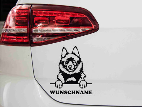 aufkleber-portrait-shipperke-schwarz