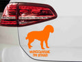 aufkleber-silhouette-american-water-spaniel-orange