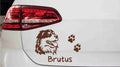 autoaufkleber-australischer-schaeferhund-kopf-mit-pfoten-wunschname-braun